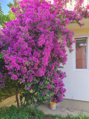 Villa Blanca